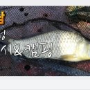 우성낚시 이미지