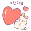 글로와 이미지