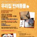 성남시청 누리홀 이미지