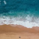 바다한의원 이미지