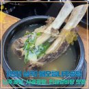 해오름인삼