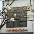 바우 하우스 | 춘천 데이트코스로 딱 | 20년 전통 경양식 맛집 바우하우스 춘천아기랑 솔직 후기