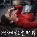 뉴강변 헬스 | 한눈에 보는 걷기·러닝 2025년12월31일