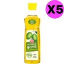 엔에프바이오 이미지