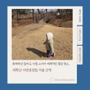 심연동 휴양림안내소 위 | 화려하진 않아도 낙엽 소리가 매력적인 힐링 명소, 아이와 함께한 천안 태학산 자연휴양림 겨울 산책