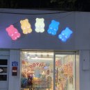 로이하이