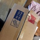 플러스스포츠 | [단백질 쉐이크 추천] 셀렉스 프로핏 플러스 스포츠 | 락토프리 단백질 보충제 내돈내산 후기