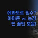 종합휴양지로 | 에콰도르 힐링 휴양지 완벽 비교 | 아마존 오두막 엘...욕조 농장 체험 후기 | 찐 자연 속 쉼터 찾는 분...