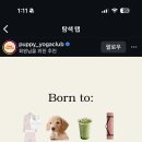 사임당로17길 101 이미지