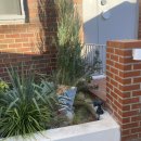 스테이시호일 이미지