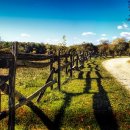 어디가렌트카 이미지