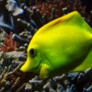 임실군청 이미지