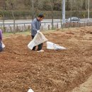 정만목장 이미지