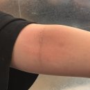 예지서림 이미지