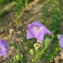 유선축산 이미지