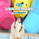 동해자동차정비 | 묵호 당일치기 혼자 여행 코스 뚜벅이 동선 꿀팁 후기