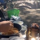 사지목나무그늘 이미지