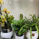 진양화원 - 종로구 종로5길 68 | 진양화원