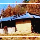 가재골의 불빛 / 靑山 손병흥 이미지