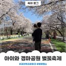 경마공원 | 서울근교 벚꽃 축제 과천 경마공원 후기 주차꿀팁