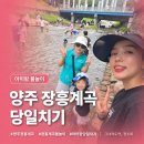 장흥사랑김밥 | 양주 장흥계곡 물놀이 당일코스, 주차부터 수심까지 가족나들이 기록