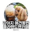 오케이랜드앤하우스 | 의왕 백운호수 플라랜드 앤 카페 | 강아지와 함께한 브런치카페 후기