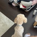 순덕민박 이미지