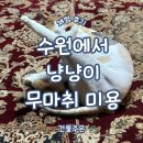 함께냥 앤 함께냥품 북수원점 이미지