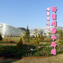 국립세종수목원 사전예약 입장료 대전 근교 데이트 코스 추천