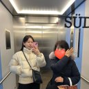 미술사산책 | [3월 동유럽여행] 비엔나3-LE CROBAG/비엔나 미술사 박물관/Bier&amp;Bierli/쇤부른궁/글로리에떼