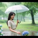 또 비가 내린다 / 여니 이남연 이미지