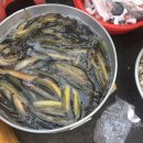 과일도시 이미지