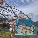 화순군립석봉미술관 | 화순 산책하기 좋은 동구리 호수 공원 군립 최상준 미술관