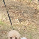 자동산책길 이미지