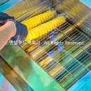 경화여자English Business고등학교 이미지