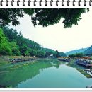 피쉬랜드낚시터 이미지