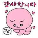 종로-신교-종로-신-294 | 🎉24년_9월🍰