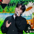 쓰담쓰담 이미지