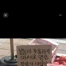커피플라야