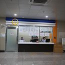 원주드림체육관 티스토리