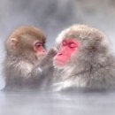 김부국 이미지