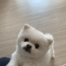 봉구네횟집 이미지