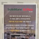 영종대로566번길 | 영종 구읍뱃터 주변 카페, 쏠마레일피노 솔직 후기