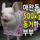 에스더
