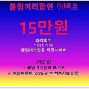 대구붙임머리티안나헤어 이미지