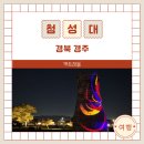 달리는밤에 | 경주 첨성대 야간개장 후기｜미디어아트와 꽃터널까지, 밤에 더 아름다운 경주 여행