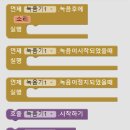 미디어팔레트