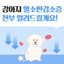 탄현동물병원 이미지