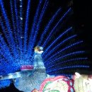 불도유치원 이미지