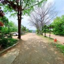 도그싸롱 이미지